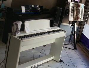 DYNATONE DPP 510 + STAND